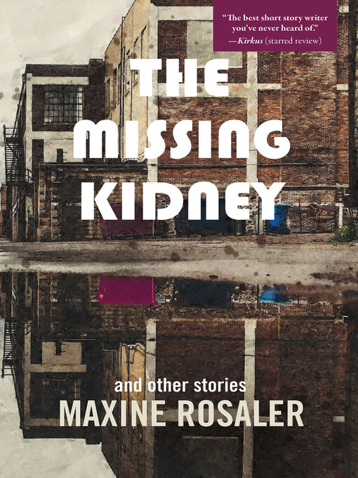 Title details for The Missing Kidney and other stories by Maxine Rosaler - Available